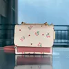 Nouveau sac d'orgue à imprimé aux fraises pour femmes Messager Messenger Mini Small Square Bag242A