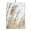 Reed Dandelion Dolphin Sea Beach Flower Wall Art Canvas Nordiska affischer Ommålning och skriv ut väggbilder för vardagsrumsdekor L01