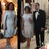 Elegant Knee Length Mother of The Bride Dresses Evening Wear Lace Applique Plus Size Mother of Groom Dress Vintage Wedding Guest G268S