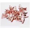 Andere Schreibtischzubehör Großhandel 1000 Stück 22 mm / 31 mm runde Metallgriffklammern Roségold Bldog Clip Edelstahl Ticketpapier für Tags B DHYX3