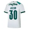 2023/24 Maglia da calcio Palmeiras 2024 ENDRICK DUDU ZE Maglietta moda uniforme 3024