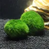 5 pz Marimo Moss Ball Acquario Piante Terrario Cladophora Ball Fish Tank Ornaments238C