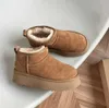 Femmes Tazz Pantoufles Australie Plate-forme Winte Botte de neige Tasman Slipper Chaussures Designer Bottines Châtaigne Fourrure Chaude Intérieur Bottillons Australiens Ugges 660ess