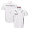 F1 T-Shirts Team Shirts Formula 1 Drivers Team Overalls Summer New Racing Fans Outdoor Recreation Polo Shirts Team Logo Shirts Ove309a