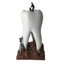 Autres hygiène bucco-dentaire résine artisanat dentaire jouets dentiste cadeau Artware dents dentisterie clinique décoration articles d'ameublement Sculpture créative 230915