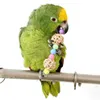 Rainbow Papegojor Leksaker Parakeet Klättra tugga Toy Bird Swing Drill Bell Swing Cage Budgie Hängande stege Pet Supplies 233i