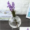 Vaser Hemträdgårdskontor Rundt transparent glas Vas Hydroponic Terrarium Planter Holder Flower Plant Bonsai Decor Drop Delivery DHZ2Q