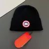 Cappellini da baseball Cappellini da baseball Designer Beanie Ricamo artico Lavorato a maglia Cappello di lusso squisito Tendenza Autunno Inverno Lana Eleganza Temperamento versatile Moda casual Wa 0cs9