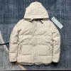 Mens Winter Parka Big Hooded Down Jacket Coat Size