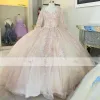 Abiti Quinceanera rosa chiaro Applique in pizzo Paillettes Maniche lunghe Corsetto Indietro Raso Personalizzato Dolce Principessa Spettacolo Abito da ballo Abiti