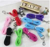 Laisses en Nylon pour chiens, largeur 2cm de Long, 2cm, sangles d'entraînement pour chiots, noir/bleu, corde de plomb, ceinture