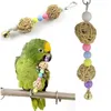 Rainbow Parroty Toys Parakeet wspinaczka do żucia zabawka ptak huśtawka huśtawka huśtawka klatka wisząca wisząca drabina zapasy zwierzaka 264U