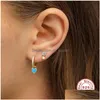 Charme Roxi Belle Ins Coeur Cristaux Rond Cerceau Pour Femmes Fille Rose Bleu Vert Cartilage Boucles D'oreilles 925 Sterling Sier Brincos Dhgarden Dheq1