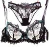 Mulheres Underwer Lingerie Set Sexy Bra Breves Conjuntos Push Up Transparente Lace Bordado Sem Forro Fino Sutiã Preto Calcinha Sutiã Branco Y2001202U