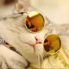 Yuexuan Design Haustierhundbrille Sonnenbrille Anti-UV-Sonnenbrille Augen-Verschleiß-Schutz Sonnenbrille hübsche Fshion-Haustierhundkatze Lieferungen