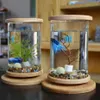 Аквариумы, вращающееся на 360 градусов стекло Betta Fish Tank, бамбуковая основа, мини-украшение, вращающаяся чаша, аксессуары для аквариума для Office279d