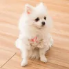 Koronkowa sukienka księżniczki wiosna letnia ubrania na małą imprezową spódnicę dla psów Puppy Costume Costume Pets 201128245h