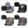 Clássico Top Quality Peaked Caps Snake Tiger Bee Luxurys Mens Mulheres Designers Cat Canvas Homens Baseball Moda Mulheres Sun Hat H292R