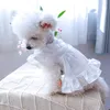 Psa odzież szczenię sukienka księżniczka wiosna lato Słodka spódnica kota moda Bowknot koszulka małe urocze ubrania Chihuahua Yorkshire Pomeranian