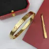 AAA Top Highquality Fashion Gold Bangle Men Kvinnor Bangle 18K Gold Rose Gold Women Men Armband Love Screwnriver Armband