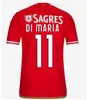 23 24 Fans Spelerversie Benfica voetbalshirts SEFEROVIC WALDSCHMIDT PIZZI RAFA G.RAMOS 2023 2024 Thuis Uit Heren kindertenue Voetbalshirts OTAMENDI Kokcu Di Maria