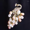 Brooches OKILY Delicate Zircon Luxe Nature Pearl Peacock Broochpin For Women Bird Jewelry Pins And Broche Accessories