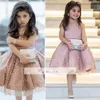 Пыльно-розовая принцесса, милые пышные платья для девочек, украшенные жемчугом и бисером, короткое трапециевидное платье с цветочным узором для девочек, арабское театрализованное представление, вечеринка по случаю дня рождения W244e