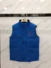 Canada Designer Down Vest Vestes de poche Parkas Fermeture à glissière à manches longues Badges Hommes Downs Manteau décontracté Canadian Goose Freestylecrew Tops Outwear Plusieurs Couleurs