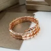 Women Jewelry Bangle Double Loop Snake Shaped Designer Exquisite and Delicate Line Design Copper Inlaid Water Diamond Lady Bracelet