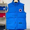 Men's Vests Designer Man Vests Fashion Short Corset Jackets Outdoor Warm Vest Woman Coat Stand Collar Style Thick Outfit Windbreaker Pocket HKD230918