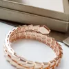 Women Jewelry Bangle Double Loop Snake Shaped Designer Exquisite and Delicate Line Design Copper Inlaid Water Diamond Lady Bracelet