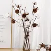 Decorative Flowers Natural Dried Cotton Branches Home Decor Garland For Diy Wedding Living Room Decoration Vase Artificial