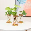 Vases Water Grow Vase Tabletop Plant Terrarium Propagation Station 3 Pieces High Quality Glass With Lid Home Desk Decor