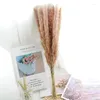 Flores decorativas pequena cana natural seca pampas grama phragmites plantas artificiais lindas flores de casamento de natal decoração de casa