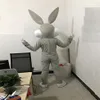 2019 Discount usine professionnelle lapin de Pâques mascotte costumes lapin et insectes lapin mascotte adulte pour 2034