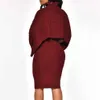 Женское зимнее платье-свитер с воротником и длинными рукавами, модное осеннее теплое облегающее платье размера плюс, трикотажные платья миди, комплекты из двух предметов, леди T307j