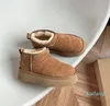 Mode Klassieke Mini Bont Laarzen Designer Vrouw Heren Platform Sneeuwlaars Warme Winter Enkellaarsjes