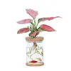 Vasi Piante nordiche Vaso di fiori idroponico Decorazione di cristallo Accessori Home Room Decor Minimalista Plastica trasparente