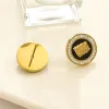 Luxury Designer Stud Earrings 18 Gold Plated Letter Jewelry Love Earrings Stainless Steel Earrings Family Wedding Gift Jewelry