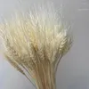 Decorative Flowers 50Pcs Real Wheat Ear Natural Dried Wedding Decoration Boho Home Small For Crafts Christmas Supplies