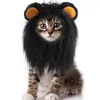 Trajes de gato bonito leão juba peruca chapéu para pequenos gatos cães festa cosplay traje headwear gatinho filhote de cachorro com orelhas acessórios