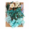 Flores decorativas presente eterna decoração de casa resina epóxi diy artesanato reutilizável scrapbooking flor artificial planta seca jóias fazendo unhas