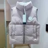 Herenvesten Hoog designervest en dames Authentiek luxe Canadees merk Capsule white label Pastels Glacier Vesten Wintercadeau A080 HKD230918