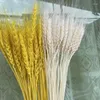 Decorative Flowers 50Pcs Real Wheat Ear Natural Dried Wedding Decoration Boho Home Small For Crafts Christmas Supplies