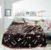 Luxury Fashion Brand Duplex Printing Flannel Double Layer Combination Felt Cross-Border Blanket