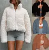 Manteau en laine d'agneau pour femme, veste d'hiver en fourrure, chaleur extérieure, rembourré, fermeture éclair, sweat-shirt en peluche, vêtements
