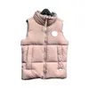 Kamizelki Projektant luksusowy kamizelka w dół kamizelki makaron jasny płaszcz zimowy kurtki puffer gęstość mężczyzny kobieta ubranie wiatroodproof unisex xs-xl hkd230918