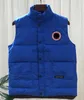 Vests Winter Down Vest Classic Casual Warmth White Goosedown Gilet Coat Fashion Veste For Man and 7 Color Plus Size M-2XL HKD230918