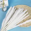 Decorative Flowers Small Reed Natural Dried Pampas Grass Phragmites Artificial Plants Beautiful Christmas Wedding Flower Bunch Home Decor