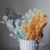 Flores decorativas espargos myriocladus natural colorido penglai canção preservada decoração de casa casamento